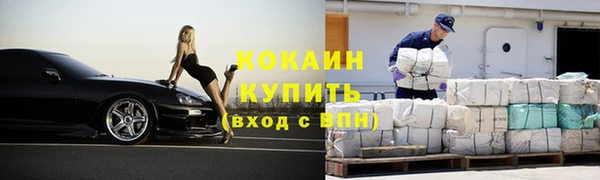 прущие грибы Вязники