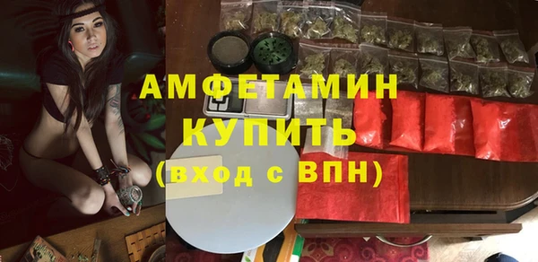 прущие грибы Вязники